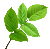 tpe5imex.png