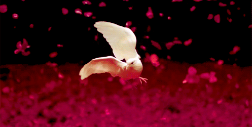 tumblr_n7w9pn9SLY1sujdjco1_500.gif