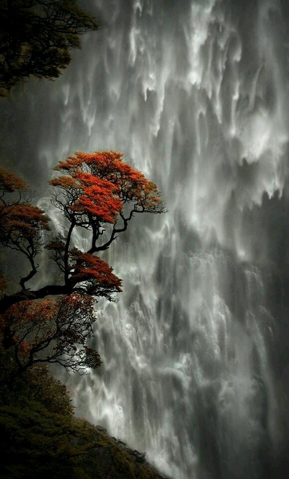 tumblr_njiy781zfX1ruxmcho1_1280.jpg
