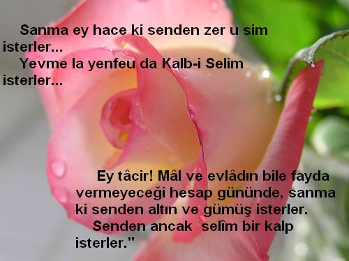 kalbiselim.jpg