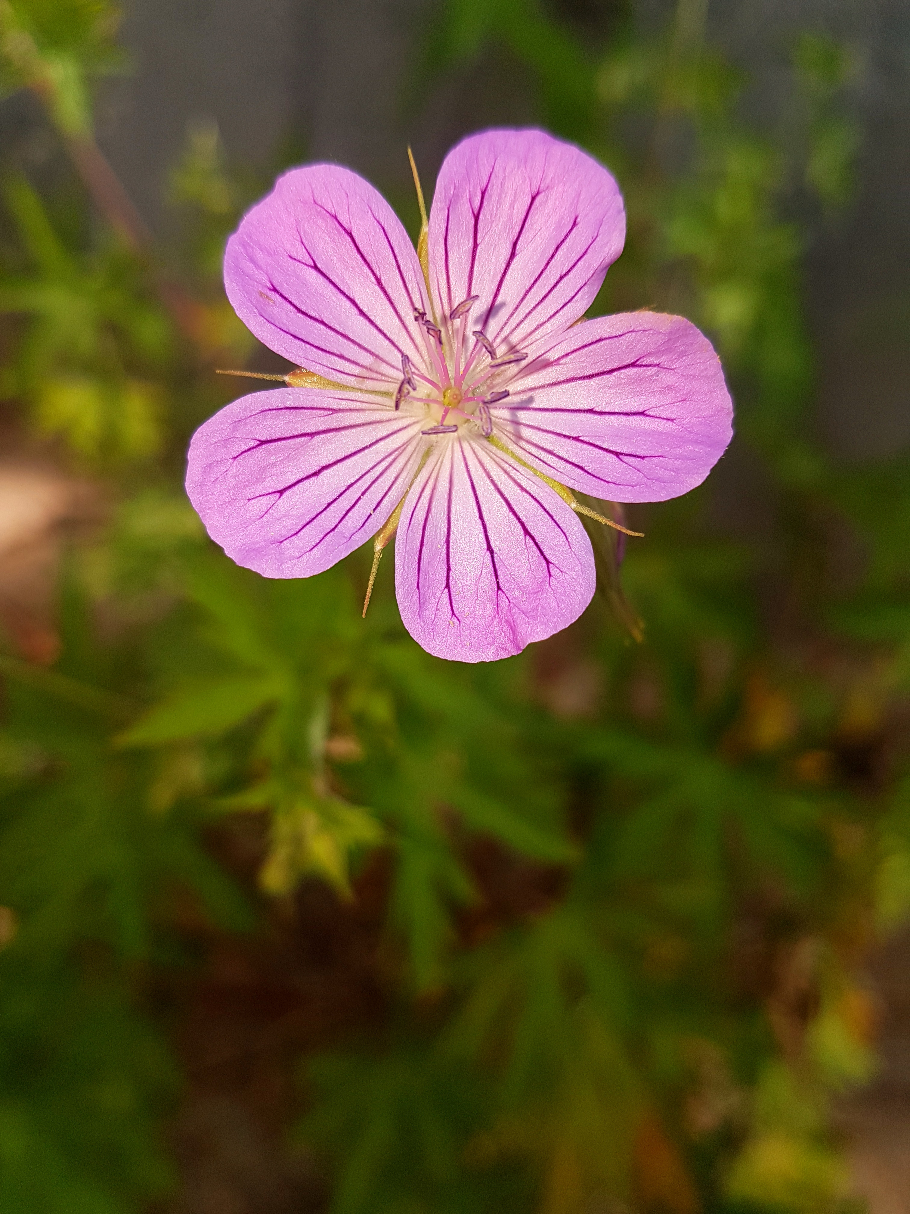 20170712-133255.jpg