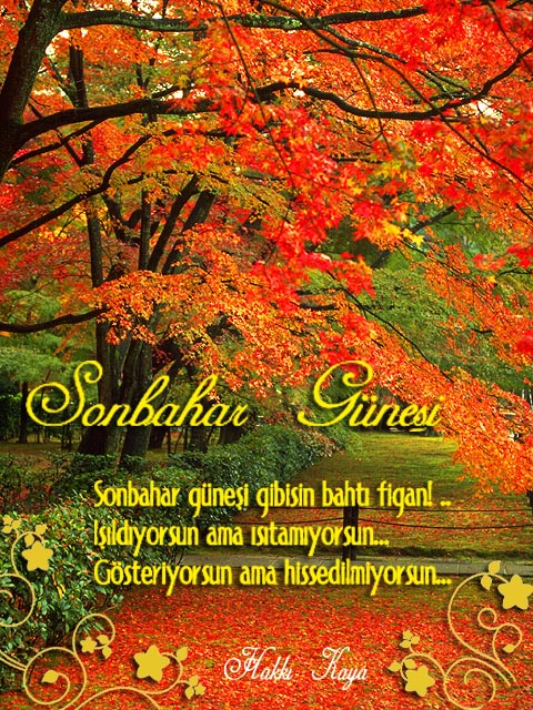 www_antoloji_com_495277_601.JPG