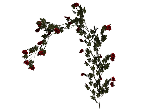 0_7eae6_2cd6753c_L