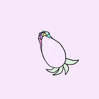 rose GIF by Stefanie Shank