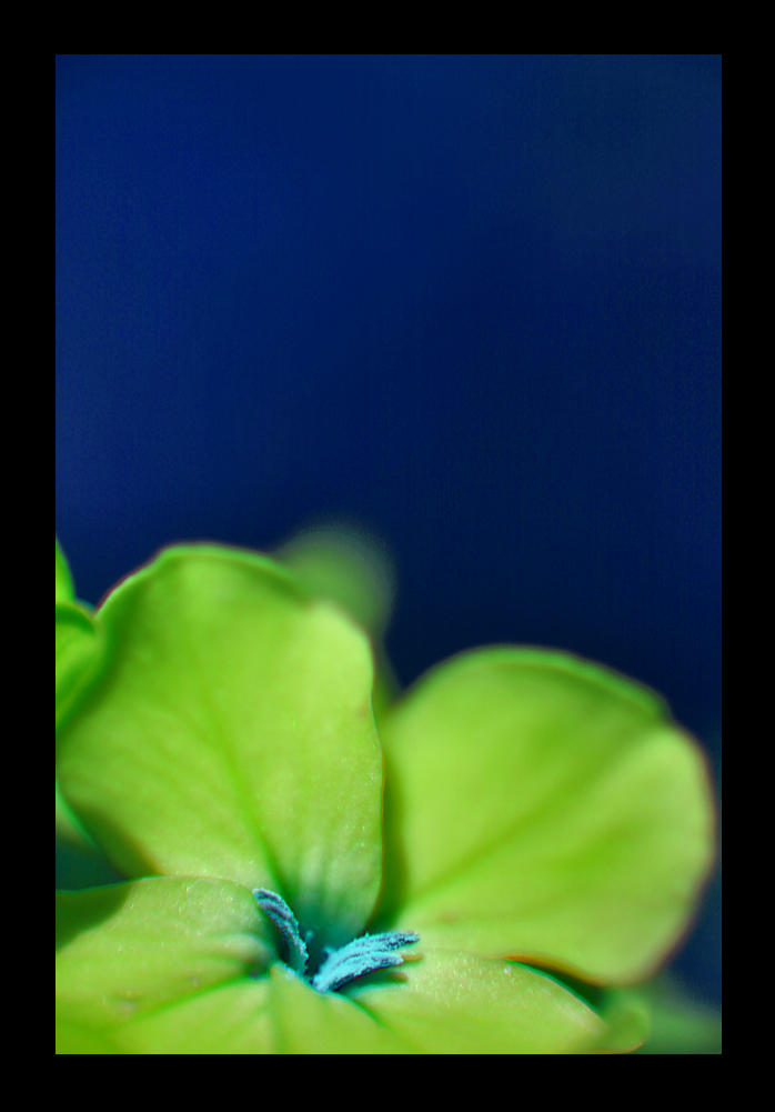 Blue_Green_by_mrsselfdestruct.jpg