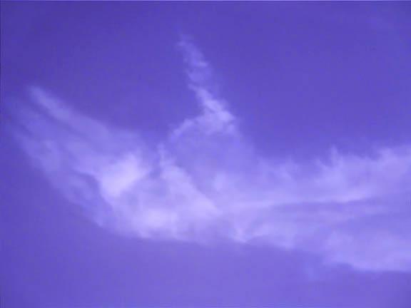 b16mwd48aodh9bay7.jpg