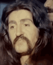 tenor.gif