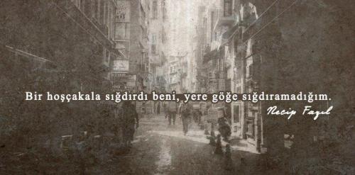 tumblr_mkp85tim7P1s9dmemo1_500.jpg