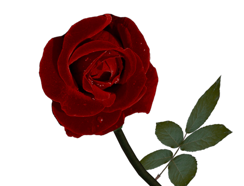 0_7eae0_cb40219c_L