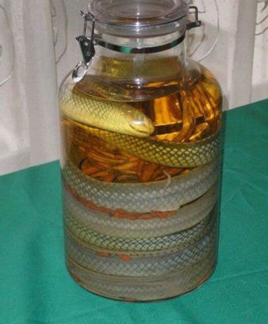 alkogolj_06.jpg