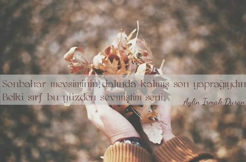 tumblr_msd19ybJBo1s39a36o1_500.jpg