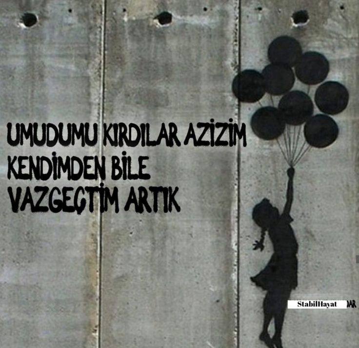 e9c5dacb1aa446b30054b8667b3b354b.jpg