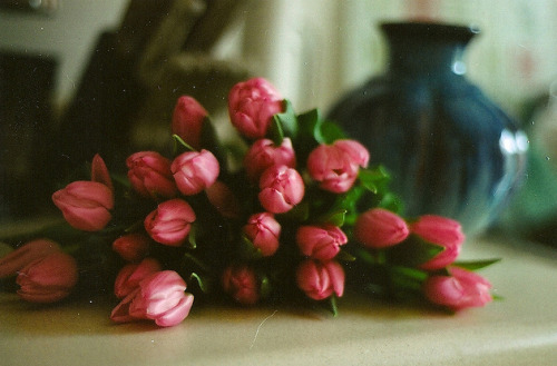 tumblr_mjih72Lp9F1s1fndfo1_500.png