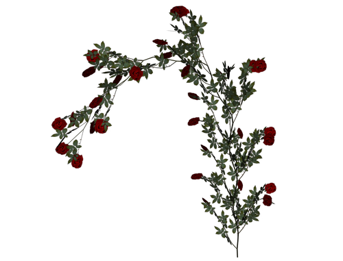 0_7eae5_cdeb7ef1_L