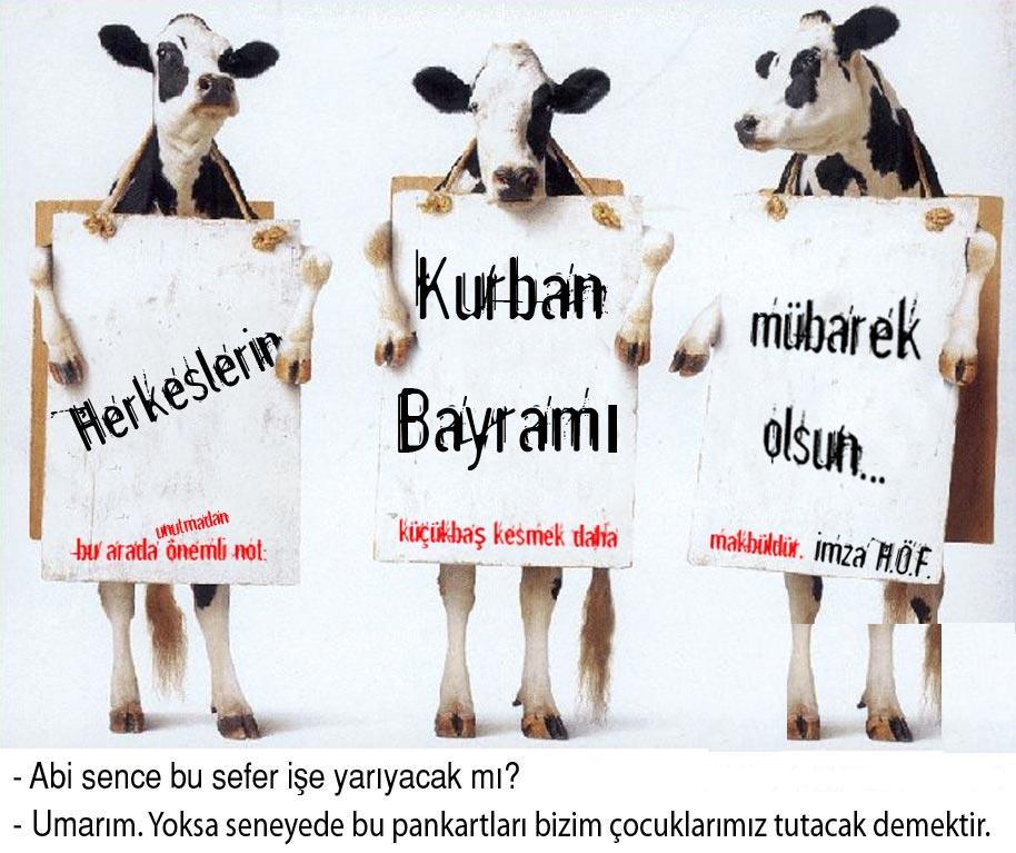 kurban_bayrami.jpg