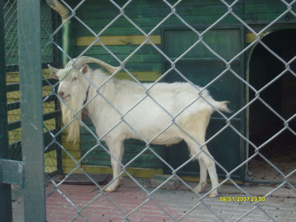5LbR7.jpg