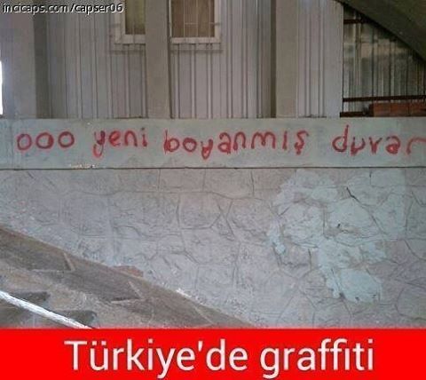 tumblr_ob5d72D9s91ujmvy2o1_500.jpg