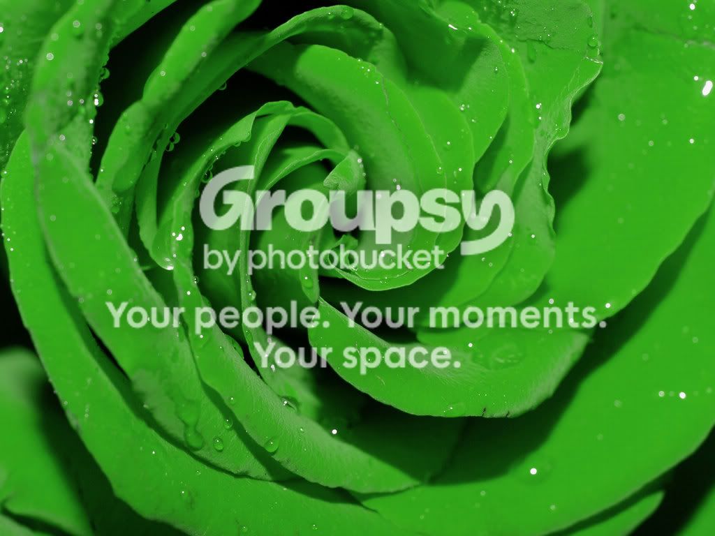 Green-Rose.jpg