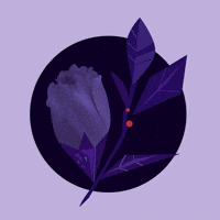 200.gif