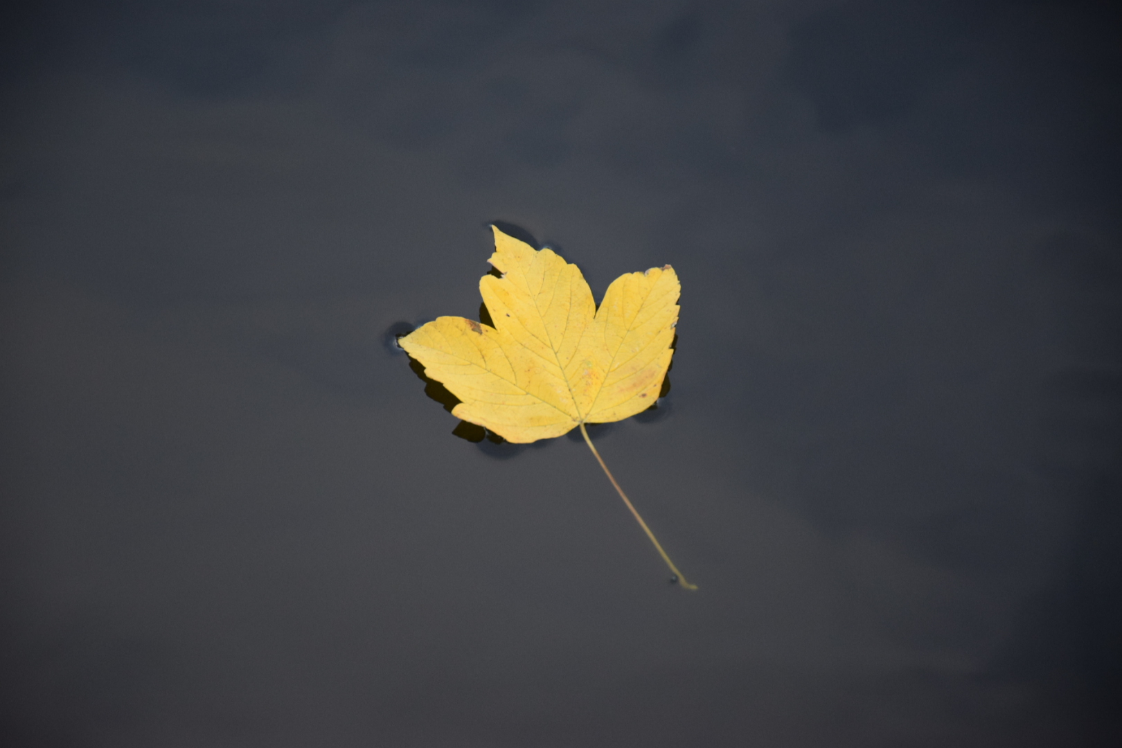 2021-03-24-09-06-11.jpg