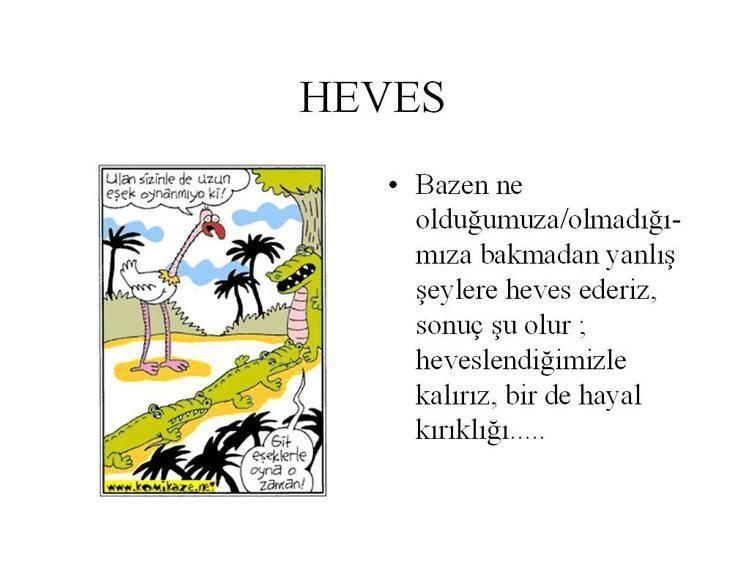 heves.JPG