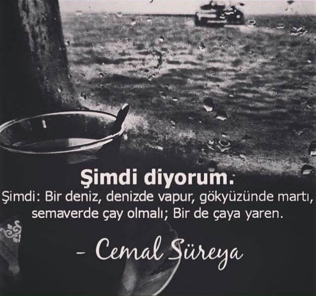 a9017088568d3e808d1260f24439367e.jpg
