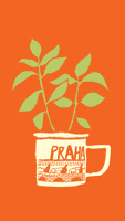 grow china GIF by Martina Scott