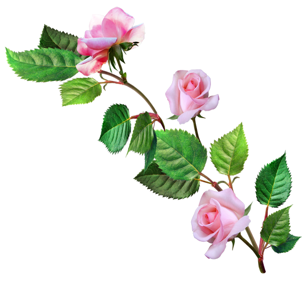0_b9f1e_d2924e2e_XL.png