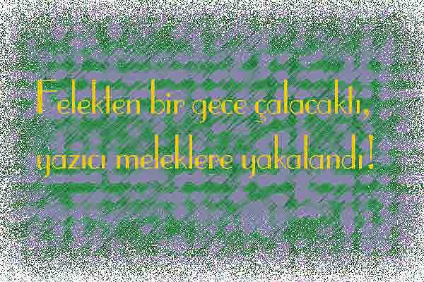 felektenbirgece.jpg