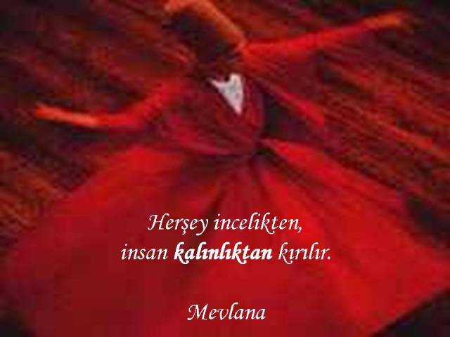 www_antoloji_com_1137343_568.JPG