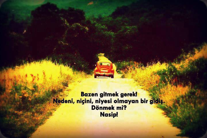 cb85135f71dcd6ccde0b8b38926aa393.jpg