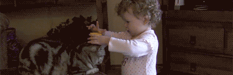 tumblr_lke7mlhZfT1qzculvo1_500.gif