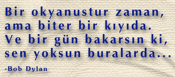 bir_okyanus.gif