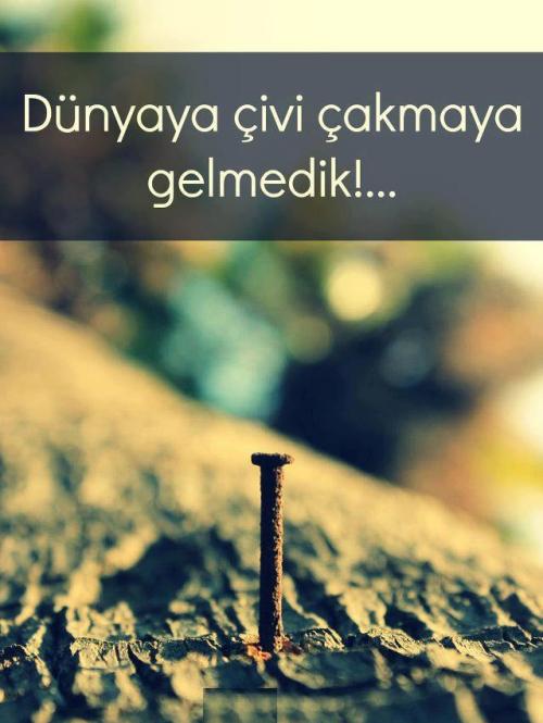 tumblr_ml946xToPE1qm1x85o1_500.jpg