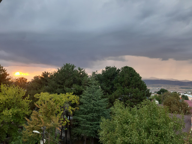 20210924-174912.jpg