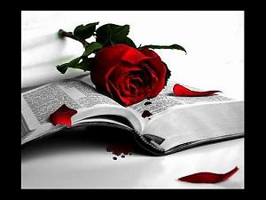 gothic-large-msg-11514487341.jpg