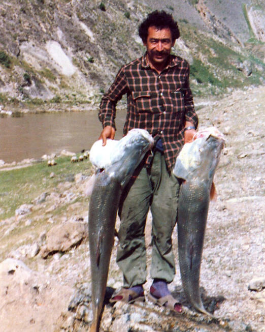 BesocinusDarrehShahrSimarrehRiver-m%20-%20Copy.jpg