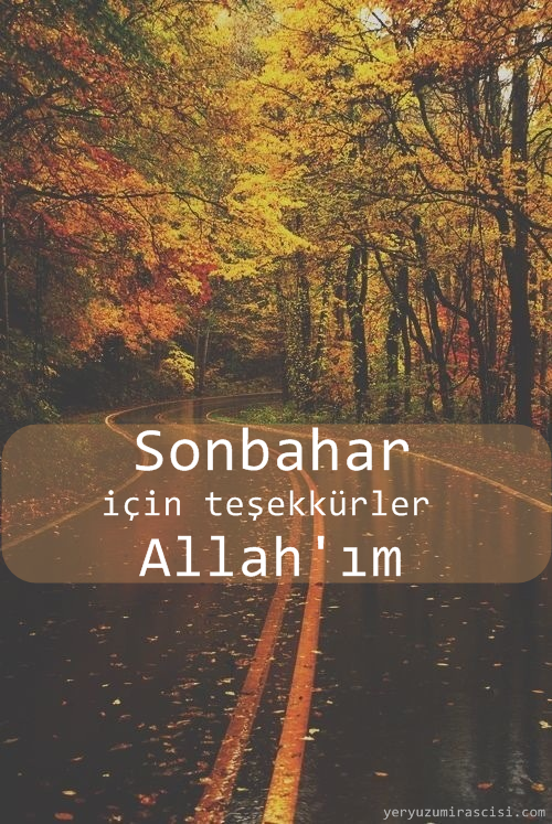 tumblr_msfglw25CB1rbn63uo1_500.png