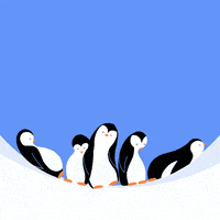Snow Ice GIF by PICNIC STUDIO