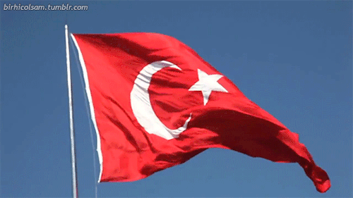 d57b0f7aa68cd38cce5e88a49ca41f49.gif