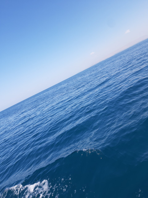 20201003-123933.jpg