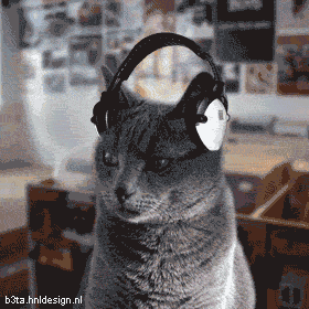 0703110652242192383429.gif