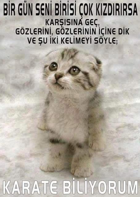 tumblr_mkp4j1bee11r3m2ijo1_500.jpg