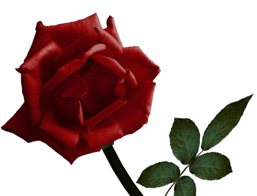 0_7eadf_c7b04b1d_L