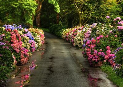 https://kemalsayar.com//website/assets/images/my1/images/605f3dd73d17b__1.jpg