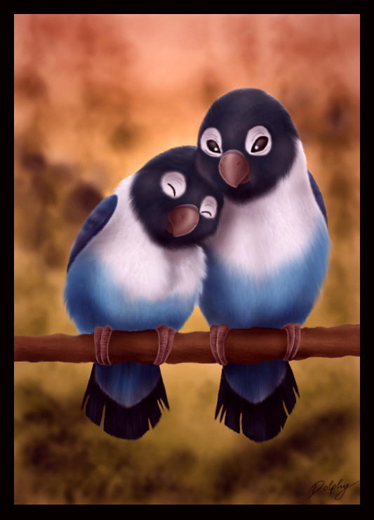 Birdie_Love_by_dolphy.jpg