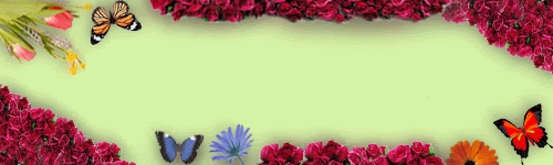 1877-1.gif