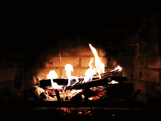 8MZS1x.gif