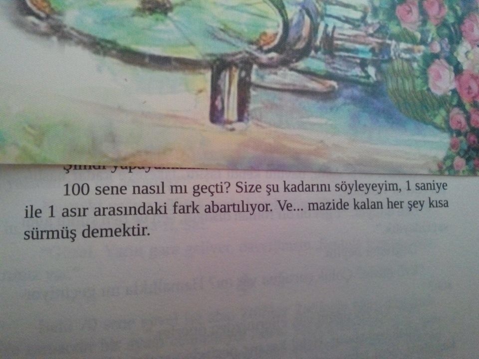 WZlDAP.jpg