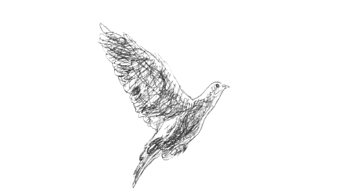 tumblr_nhrmltQKoV1sjt6sco1_500.gif